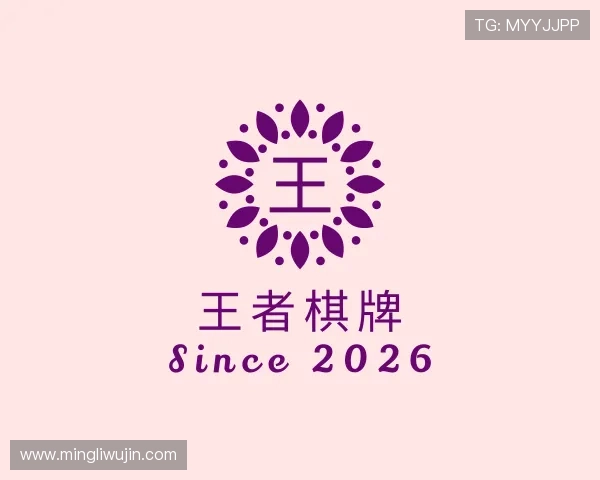 了解王者棋牌